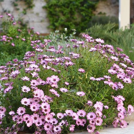 Il Giardino Di Benedetta Bed & Breakfast Lecce Bagian luar foto